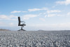 Office chair on a rocky beach Create Spring 2023