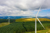 Drone view of Wind Farm